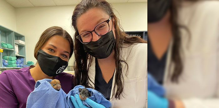 Flora Family Vet team delivering AAHA-accredited quality veterinary care in Kissimmee
