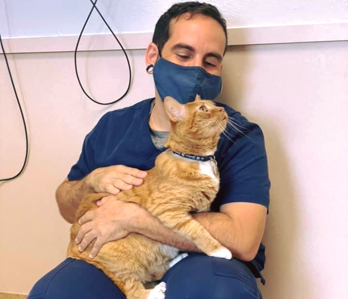 American Animal Hospital Association seal showing Flora Family Vet's AAHA-accredited status
