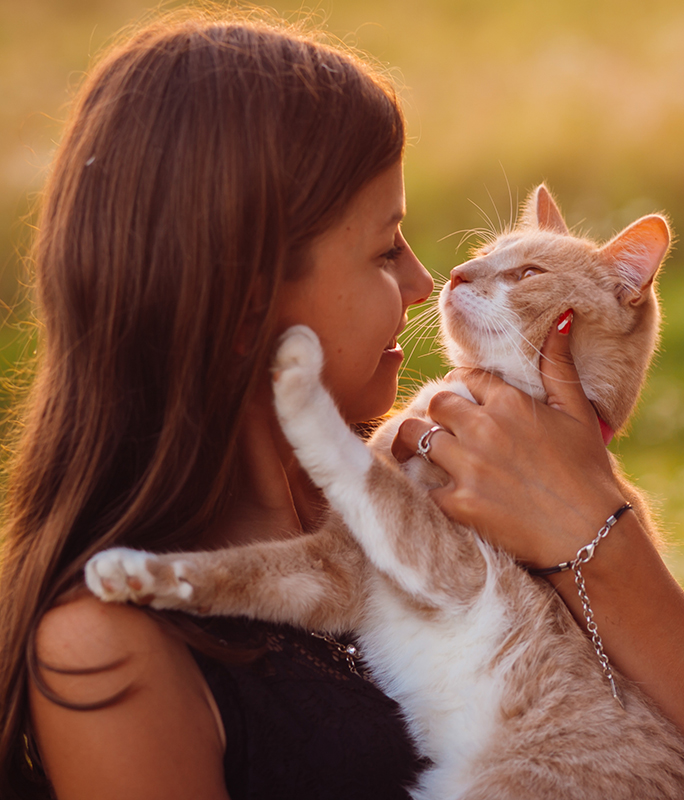 Preventive care and wellness services for pets at Flora Family Vet Kissimmee FL
