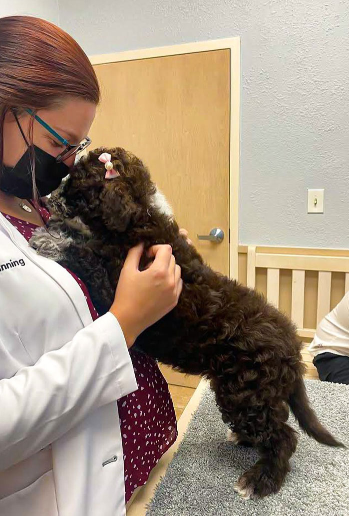 Veterinary professional caring for pets at Flora Family Vet, hiring in Kissimmee, FL
